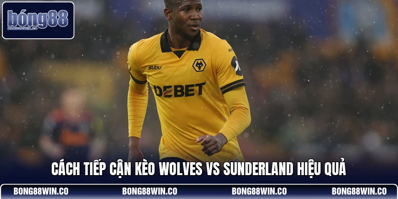 Cách tiếp cận kèo Wolves vs Sunderland hiệu quả