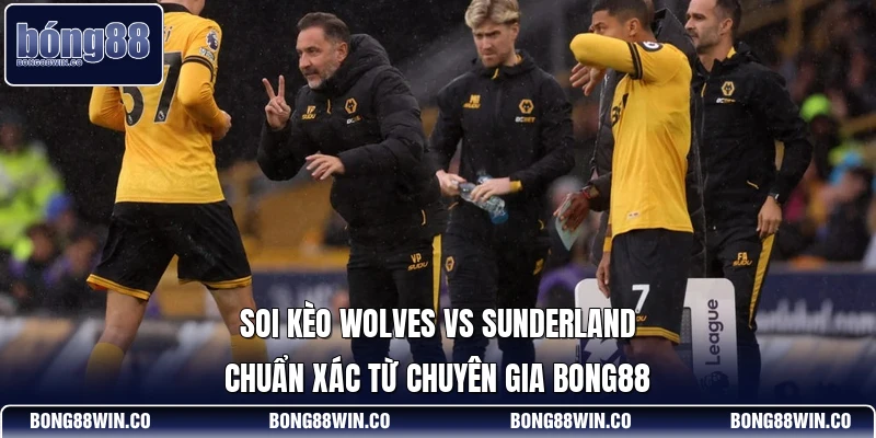 Soi Kèo Wolves Vs Sunderland Chuẩn Xác Từ Chuyên Gia Bong88