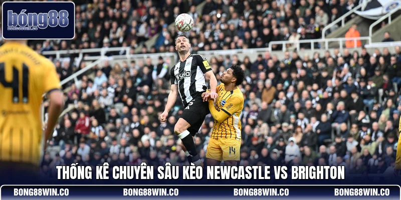 Thống kê chuyên sâu kèo Newcastle vs Brighton