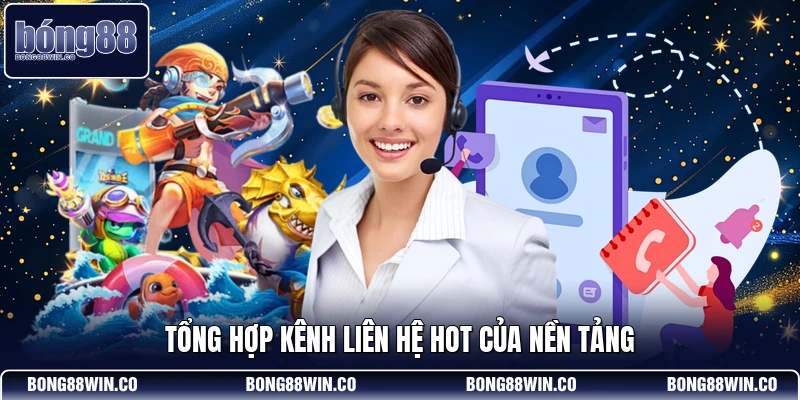 Tổng hợp kênh liên hệ hot của nền tảng